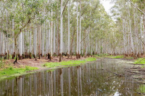 Wonga Wetlands - Attractions Perth 0