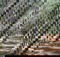 Yana-y Warruwi Walking Track - Attractions Perth
