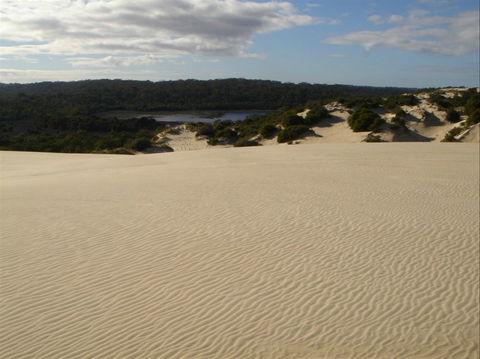 Yeagerup Sand Dunes - Attractions Perth 0