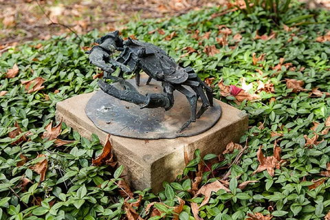 Antony Symons - Retrospective Of A Life's Work - Attractions Perth 0