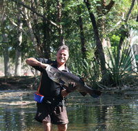 Barra Feeding - Attractions Perth