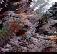 Bertha's Gully Walking Track - Attractions Perth