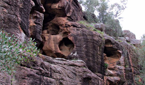 Bertha's Gully Walking Track - Attractions Perth 0