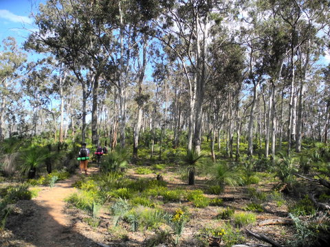 Bibbulmun Track - Attractions Perth 1
