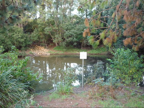 Birdwing Butterfly Walk - Attractions Perth 0