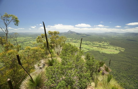 Border Ranges National Park - Attractions Perth 0