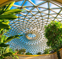 Brisbane Botanic Gardens Mount Coot-tha - Attractions Perth