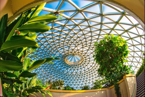 Brisbane Botanic Gardens Mount Coot-tha - Attractions Perth 0