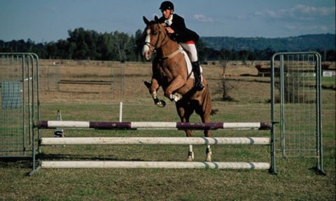 Camden Bicentennial Equestrian Park - Attractions Perth 0