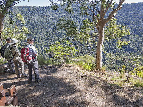 Caves Circuit, Lamington National Park - Attractions Perth 0