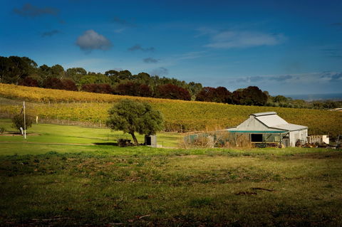 Coast To Vines Rail Trail - Attractions Perth 2
