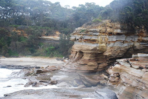 Cookies Beach Picnic Area - South Durras - Attractions Perth 2