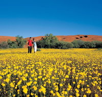 Coorow Farm Wildflower Trail - Attractions Perth