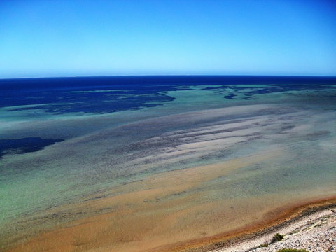 Eagle Bluff - Attractions Perth 2