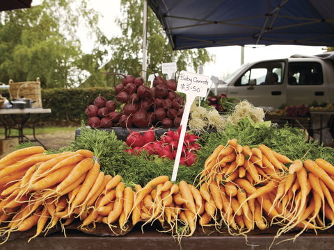 Evandale - Attractions Perth 1