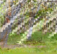 Freshwater track - Attractions Perth