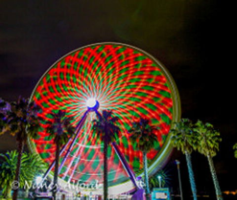 Giant Ferris Wheel - Hello Hi Lite Amusements - Attractions Perth 1