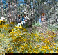 Gidgegannup - Attractions Perth