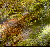 Girrakool loop track