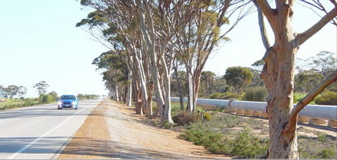 Golden Pipeline Heritage Trail - Attractions Perth 0
