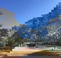 Grenfell Endemic Garden - Attractions Perth