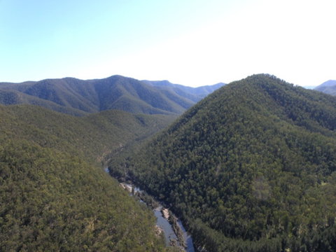 Guy Fawkes River National Park - Attractions Perth 0