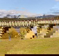 Historic Tabulam DeBurgh Timber Bridge - Attractions Perth