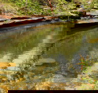 Hominy Creek Walking Track