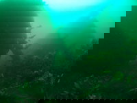 Investigator Strait Shipwreck Trail