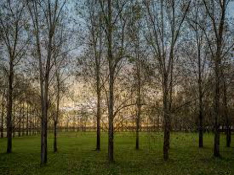 John Tucker Park - Attractions Perth 1