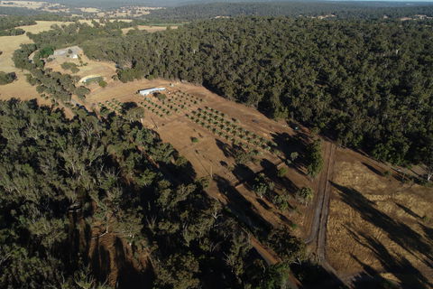 Julimar Date Garden - Attractions Perth 0