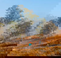 Kambah Pool to Pine Island Walking Trail - Attractions Perth