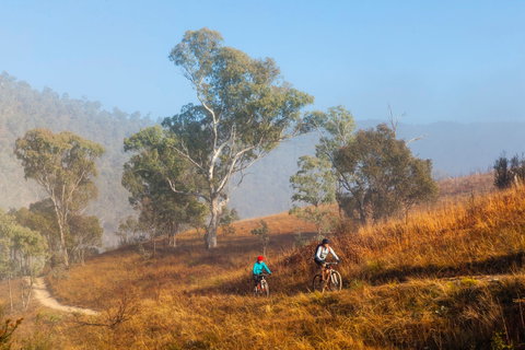 Kambah Pool To Pine Island Walking Trail - Attractions Perth 0
