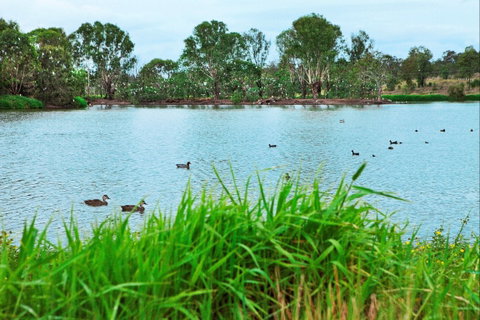 Lake Apex Park - Attractions Perth 1