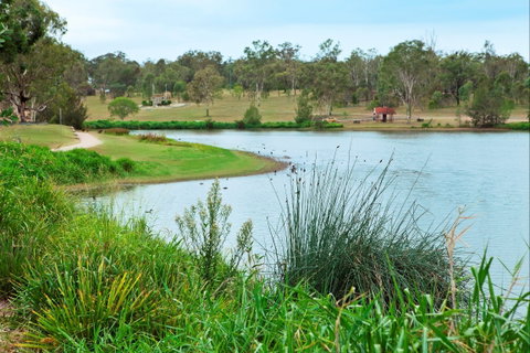 Lake Apex Park - Attractions Perth 2