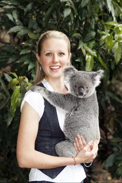 Lone Pine Koala Sanctuary - Attractions Perth 1