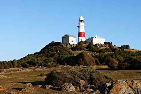 Low Head Foghorn - Attractions Perth 1