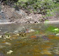 Mount Boss State Forest - Attractions Perth