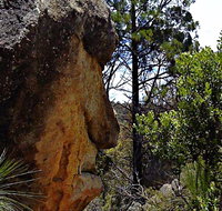 Mystery Face Walking Track - Attractions Perth