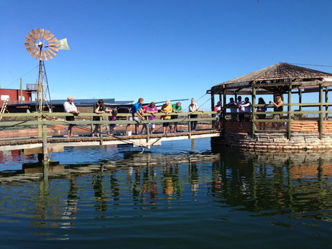 Ocean Park Aquarium - Attractions Perth 0