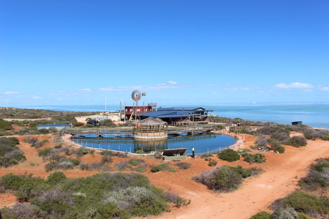 Ocean Park Aquarium - Attractions Perth 1