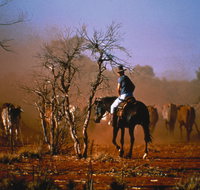 Outback Heritage and Coal Adventure - Attractions Perth