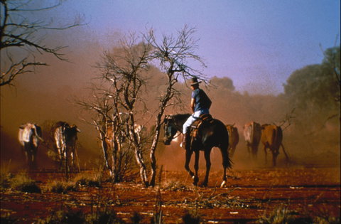 Outback Heritage And Coal Adventure - Attractions Perth 0