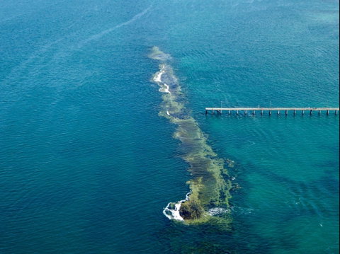Port Noarlunga Reef Sanctuary Zone - Encounter Marine Park - Attractions Perth 0