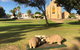 Queen Square, Moonta - thumb 0