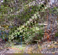 Sawpit Walking Track - Attractions Perth