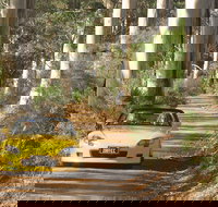 Scotsdale Tourist Drive - Attractions Perth