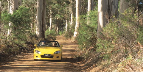 Scotsdale Tourist Drive - Attractions Perth 0