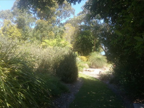 Shoalhaven Heads Native Botanic Garden - Attractions Perth 2