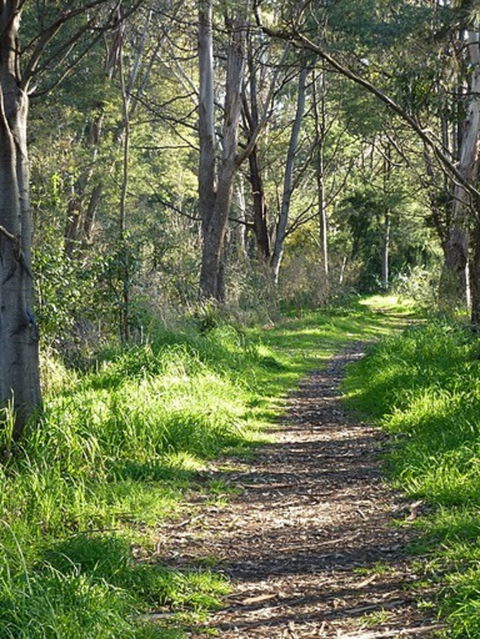 Stoodley Forest Walk And Arboretum - Attractions Perth 0